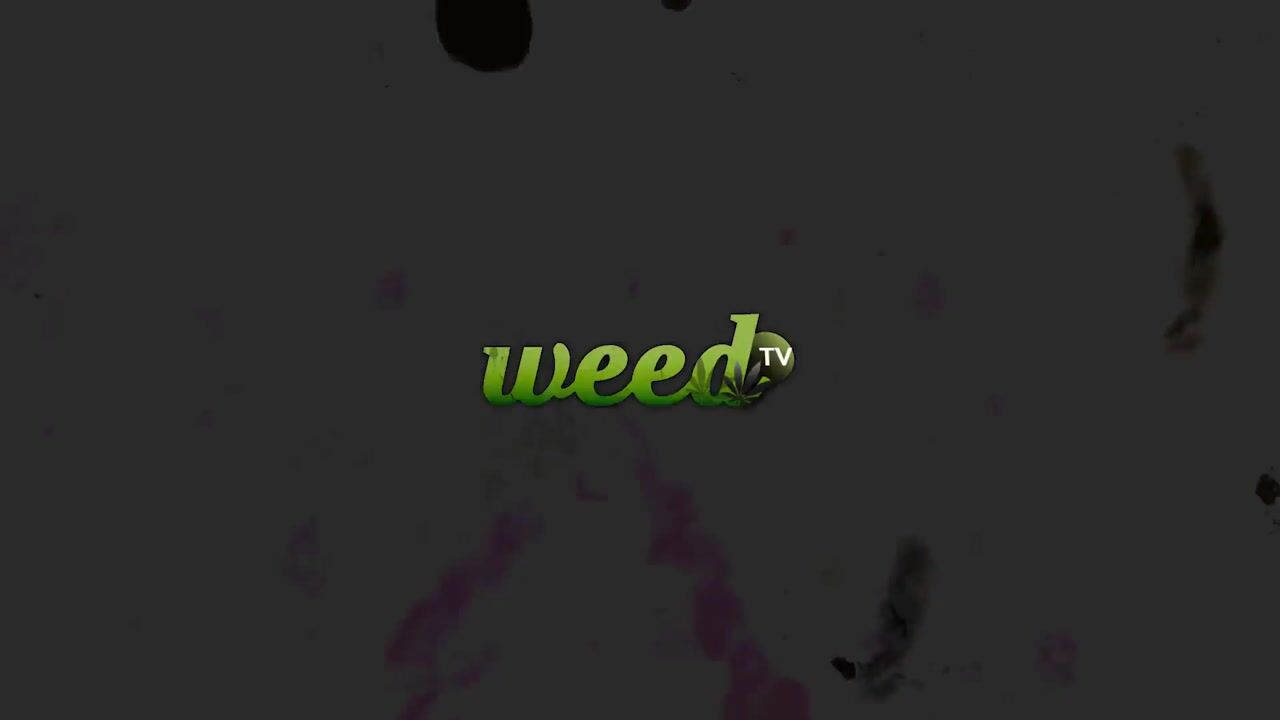 Pillow Toke