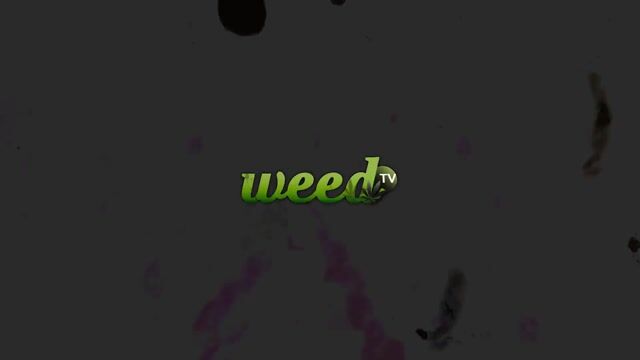Pillow Toke