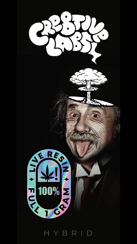 Cre8tive Labs reincarnated Einstein