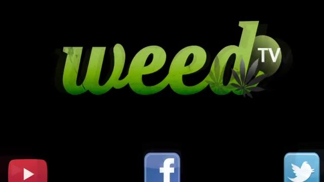 Tracy From Cannakids and Mitzva Herbal