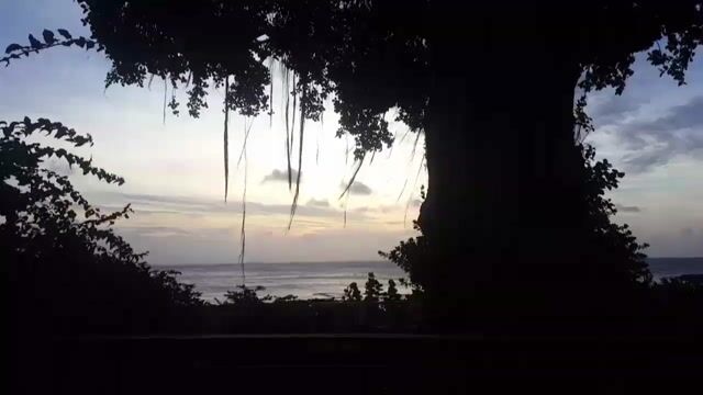 North Shore: Hawaiian Sunset with Dave and Chela