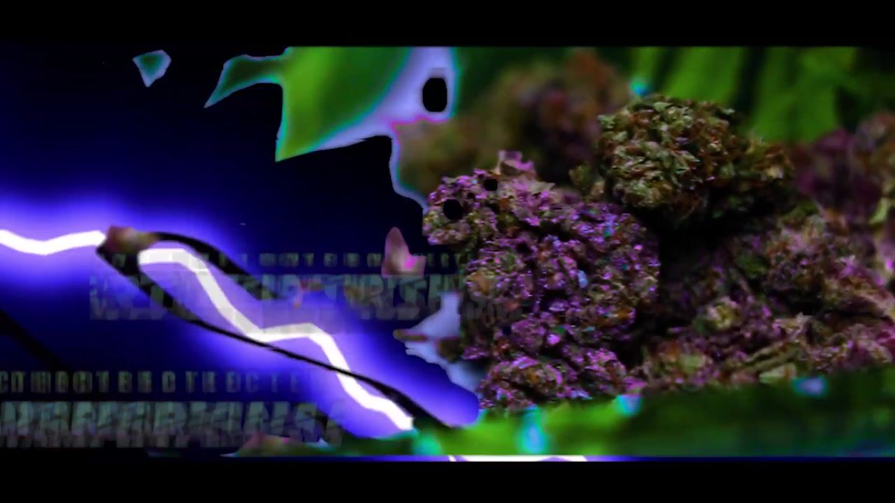 Remy Tha King - Lucky Charms (OFFICIAL MUSIC VIDEO)