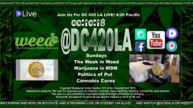 DC420LA: Week in Weed: "Cannabis Candidate" Benjamin Thomas Wolf Exposed as Fraud