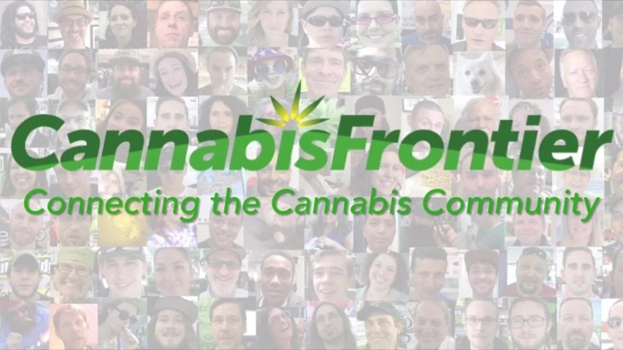 Sublingual Cannabis Tinctures Everything You Need To Know by Cannabis Frontier