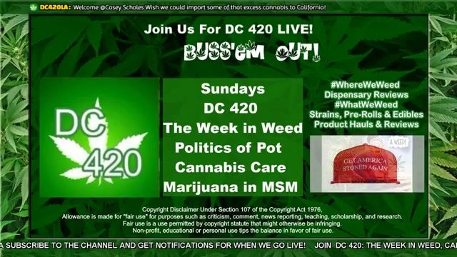 [31] DC420LA: The Week in Weed, Marijuana Media, Pot Politics, Cannabis Cures (2/25)