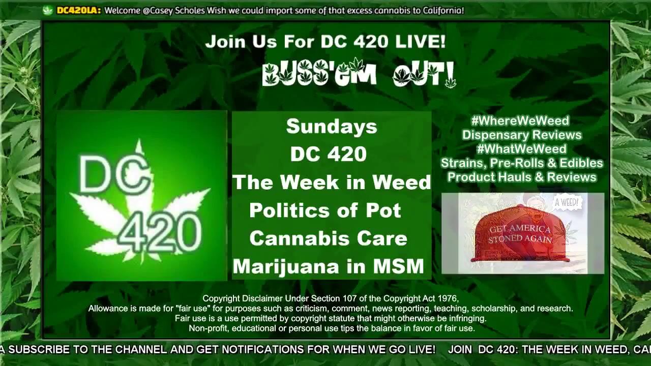 [31] DC420LA: The Week in Weed, Marijuana Media, Pot Politics, Cannabis Cures (2/25)