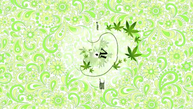 "IV Report" Interview with Mark Bradley, CEO of WeedTV