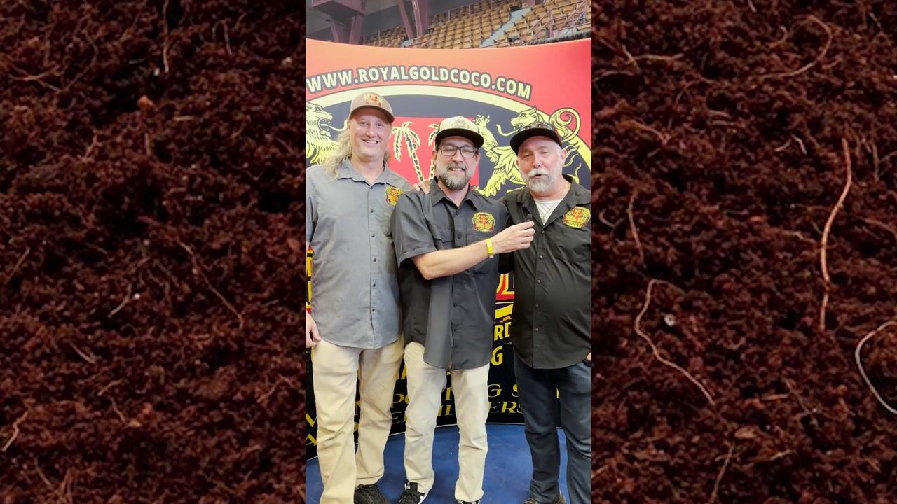Royal Gold Coco at the Emerald Cup in Oakland