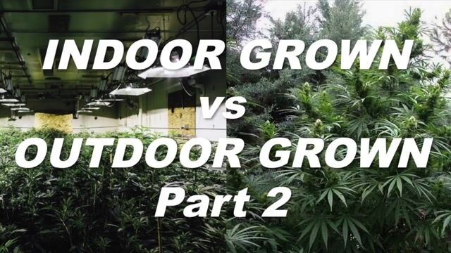 Indoor Grown vs. Outdoor Grown Pt.2 by Cannabis Frontier