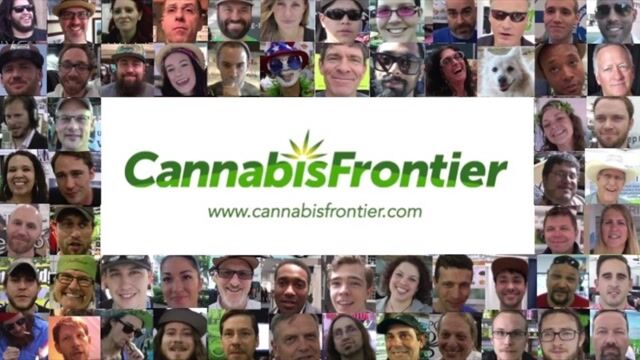 Cannabis Grow Lights: Are these the best growlights in the marijuana industry? GAVITA HOLLAND