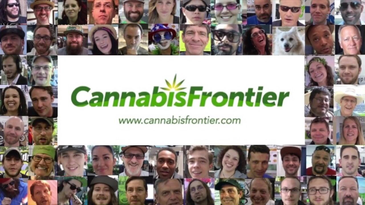 Cannabis Grow Lights: Are these the best growlights in the marijuana industry? GAVITA HOLLAND