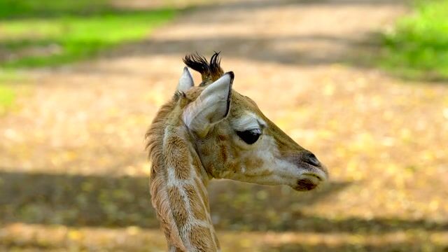 Product Unboxing: New PAX